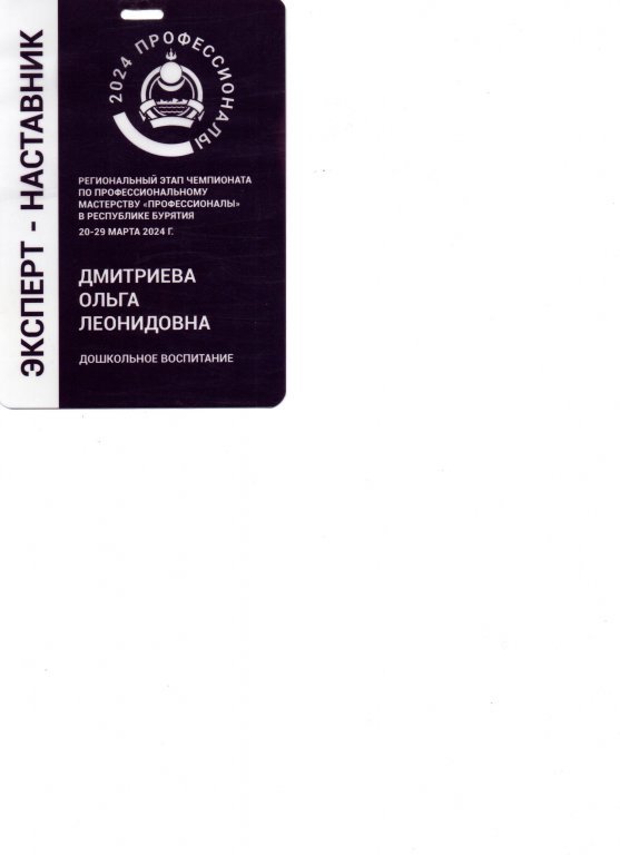 эксперт -наставник Чемпионат профессионалы 2024.jpeg