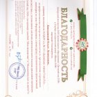 благодарность за подготовку и проведение семинара ФЭМП.jpeg