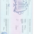 организация контроля качества образования в детском саду.jpeg